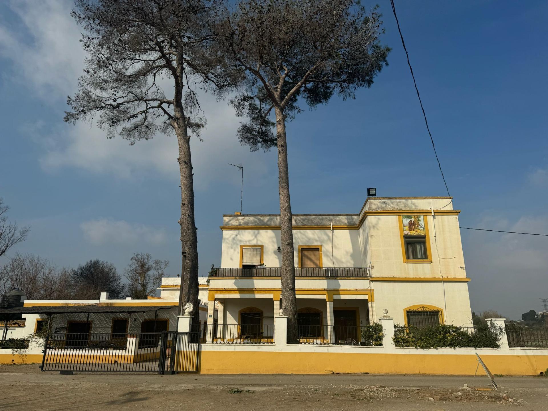 Exclusiva Propiedad en Venta en Ribarroja del Turia