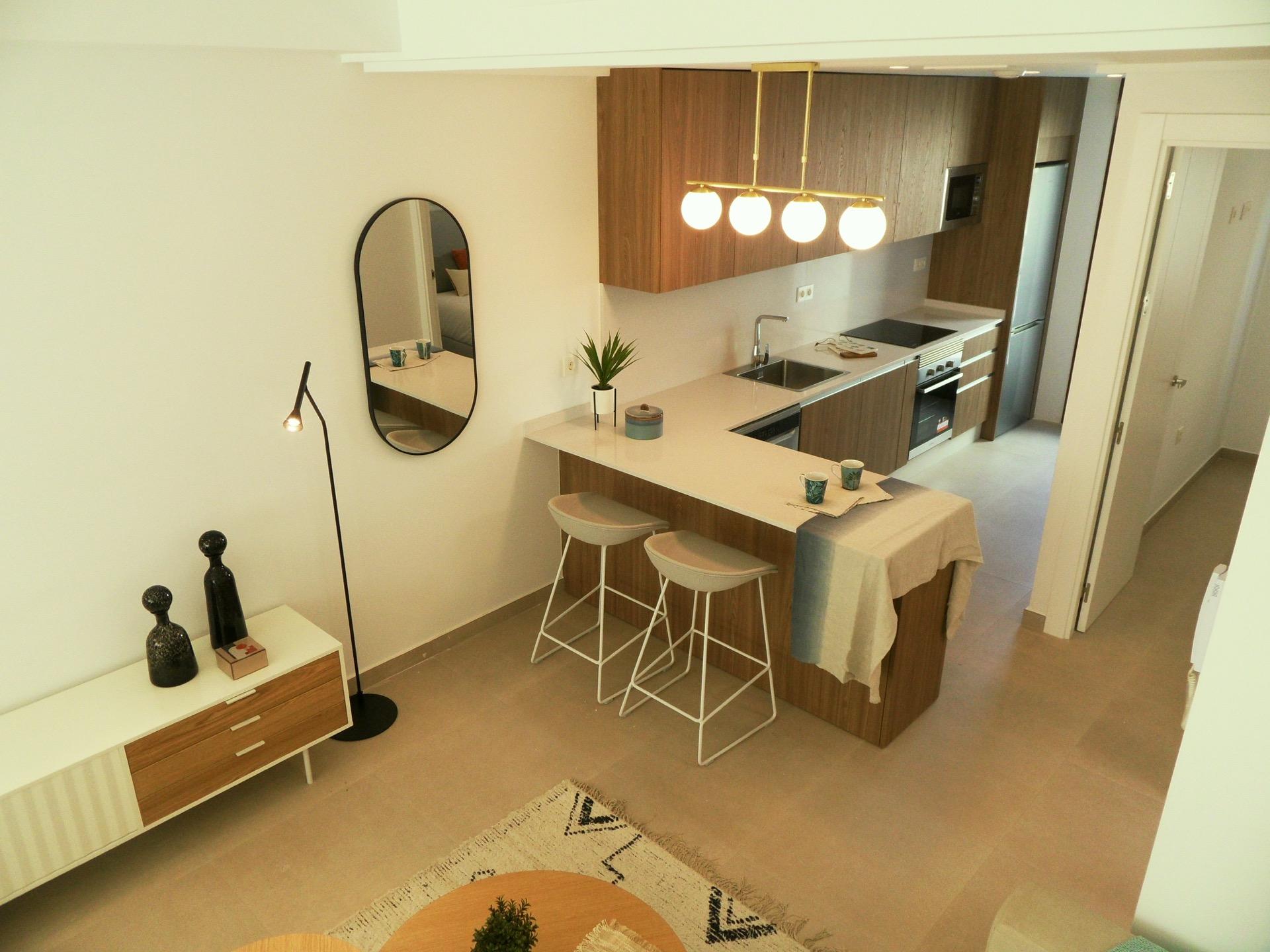 1-17-24 14 duplex homes in Pilar de la Horadada