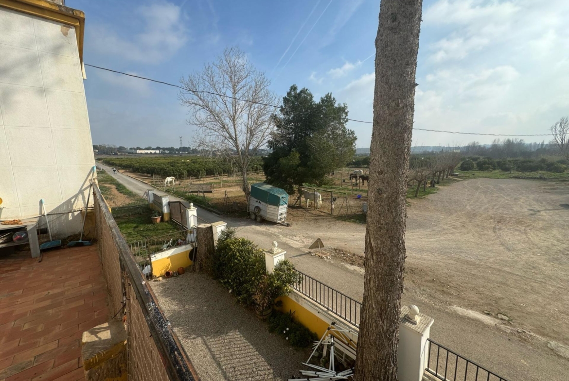 Exclusiva Propiedad en Venta en Ribarroja del Turia