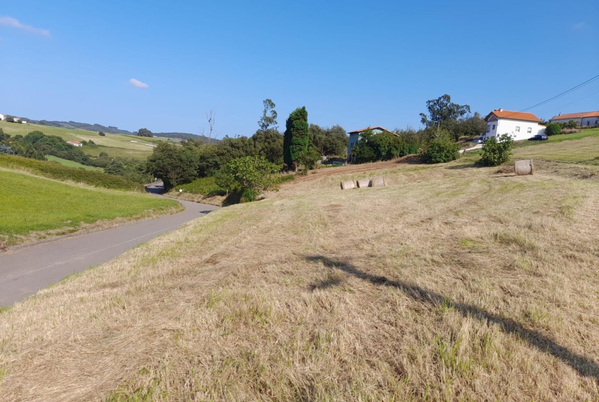 Investment Opportunity: Urban Land in Gozón, San Martin de Podes