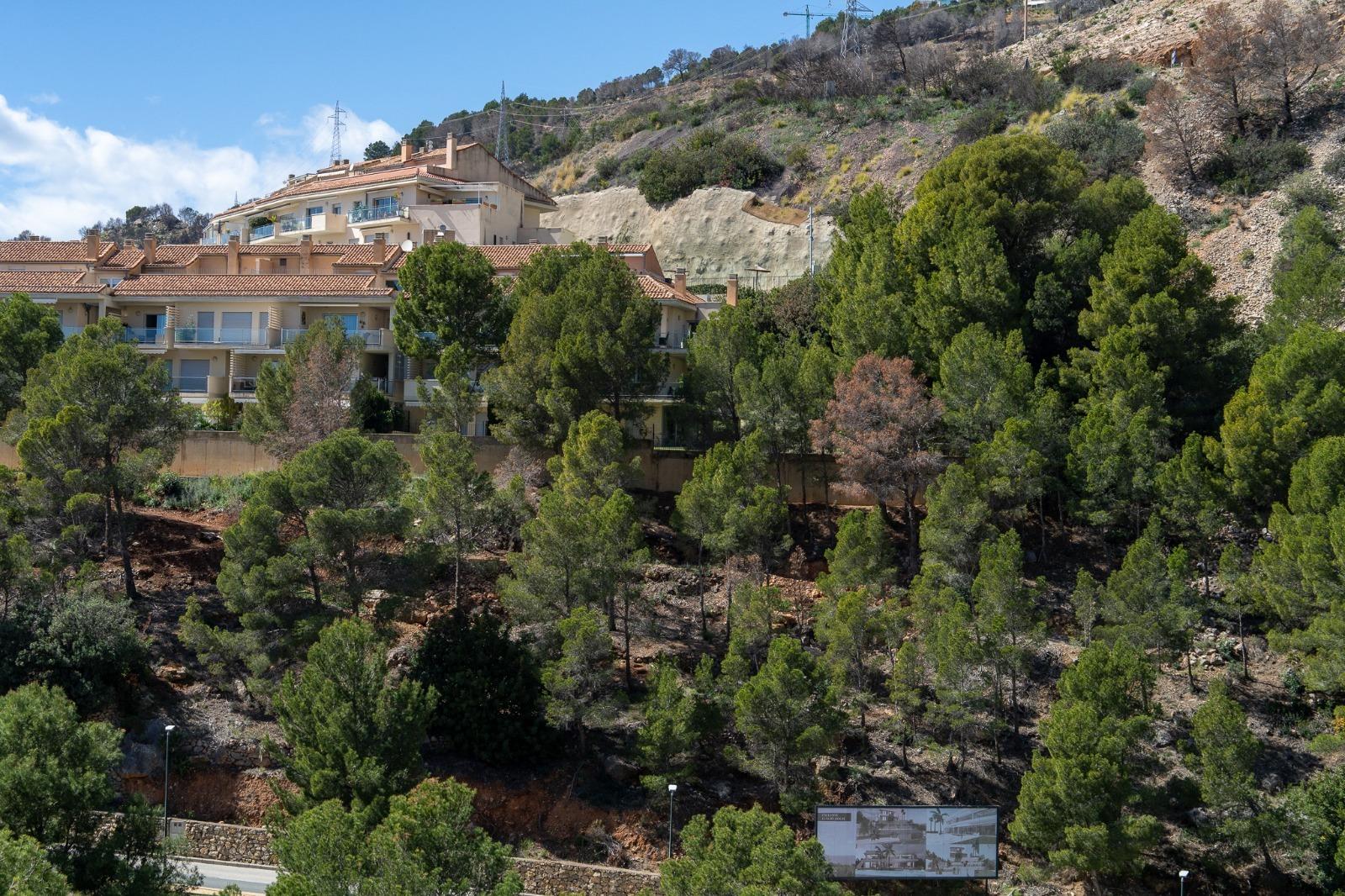 Charming Townhouse with Sea Views in Altea Mascarat