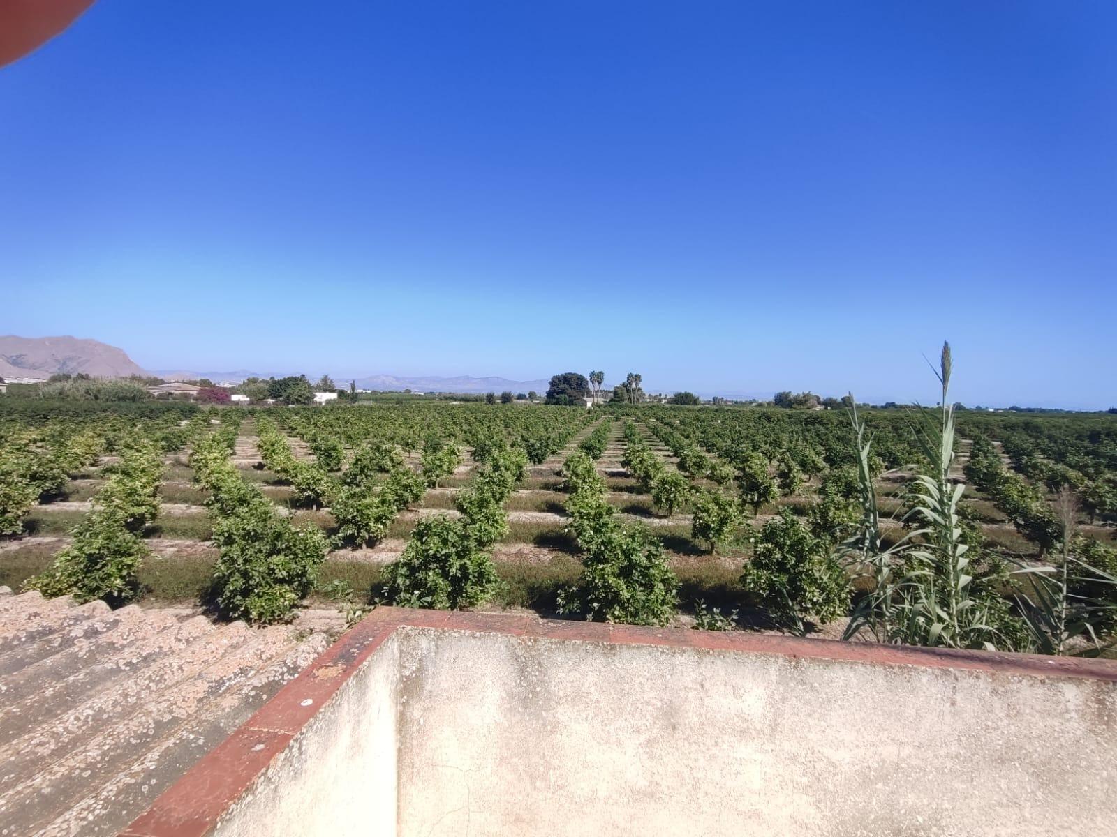 1-25-43 Huis te renoveren in Benejúzar, Alicante – Unieke mogelijkheden