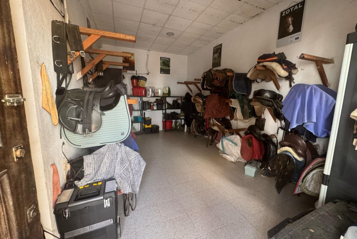 Exclusiva Propiedad en Venta en Ribarroja del Turia