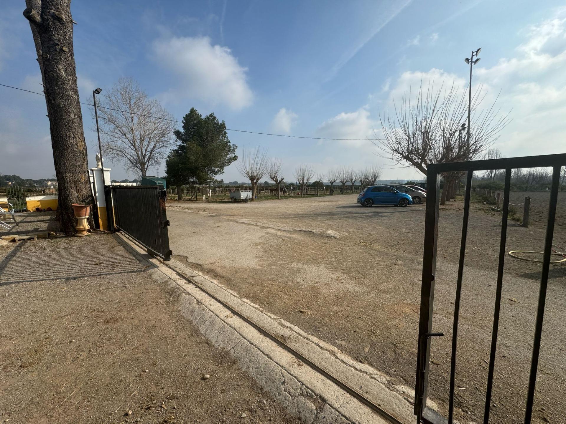 Exclusiva Propiedad en Venta en Ribarroja del Turia