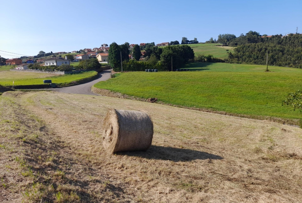Investment Opportunity: Urban Land in Gozón, San Martin de Podes
