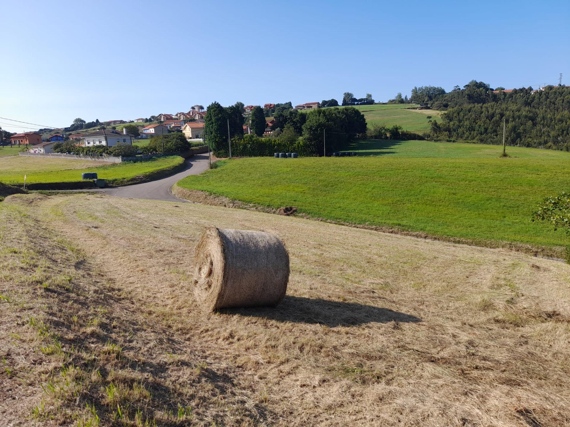 1-3-73 Investment Opportunity: Urban Land in Gozón, San Martin de Podes