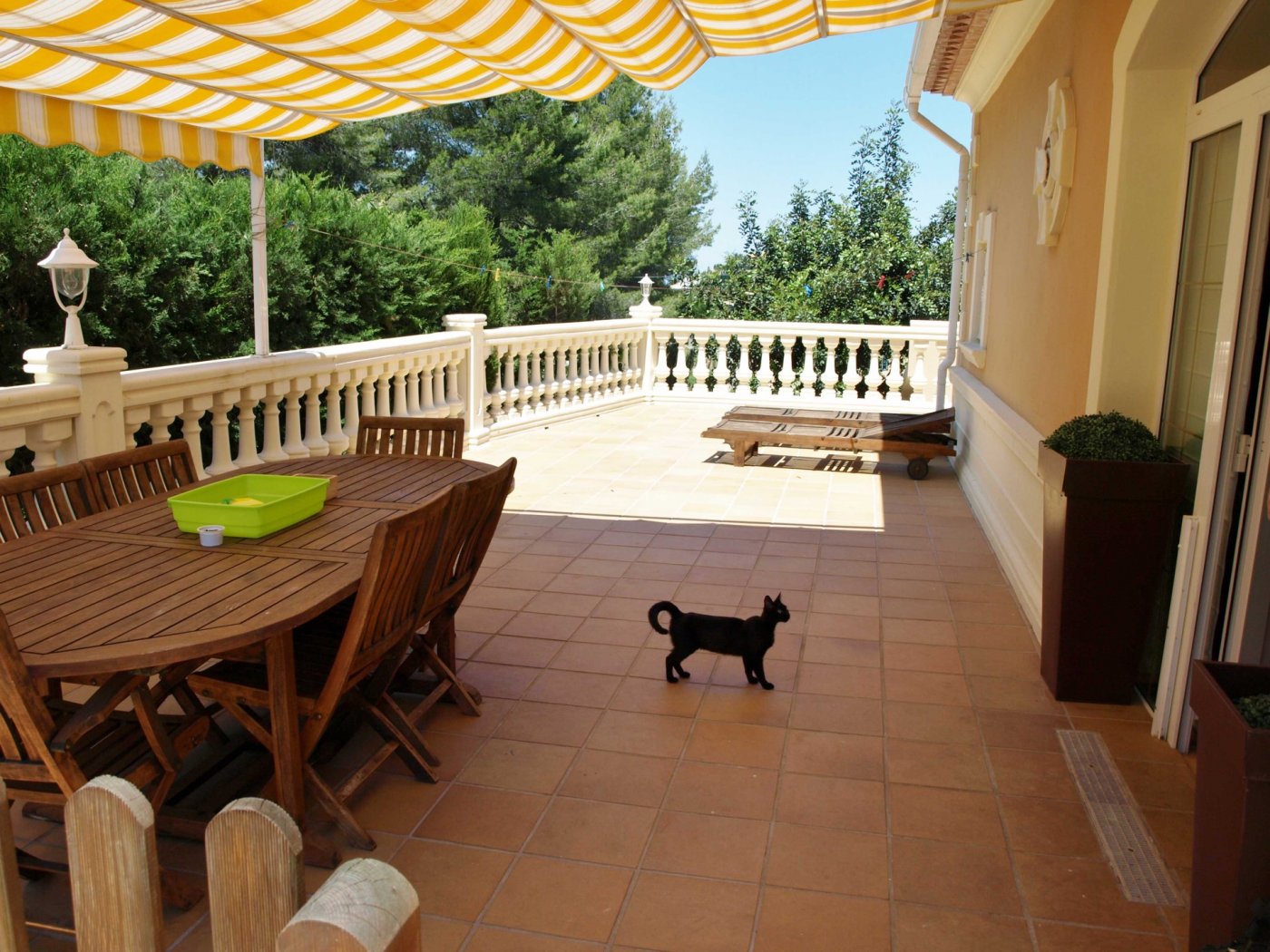 1-5-19 FINCA WITH LUXURY VILLA AND TWO TOWNHOUSES