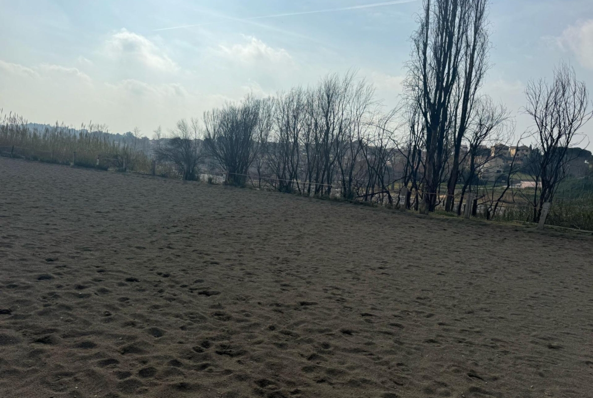 Exclusiva Propiedad en Venta en Ribarroja del Turia