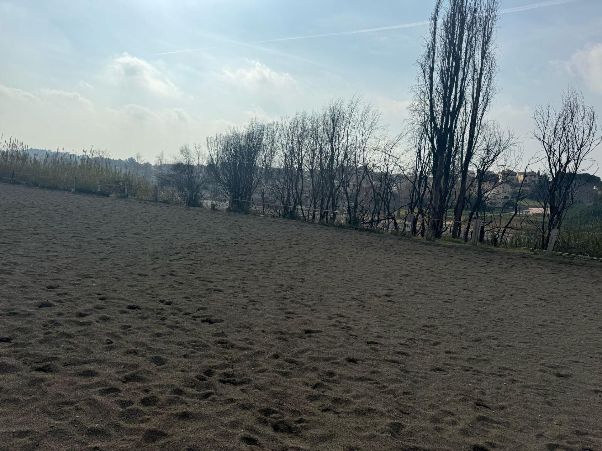 Exclusiva Propiedad en Venta en Ribarroja del Turia