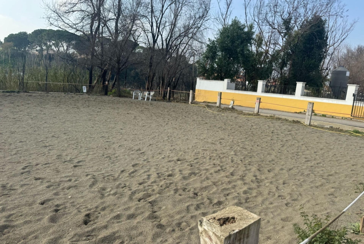 Exclusiva Propiedad en Venta en Ribarroja del Turia