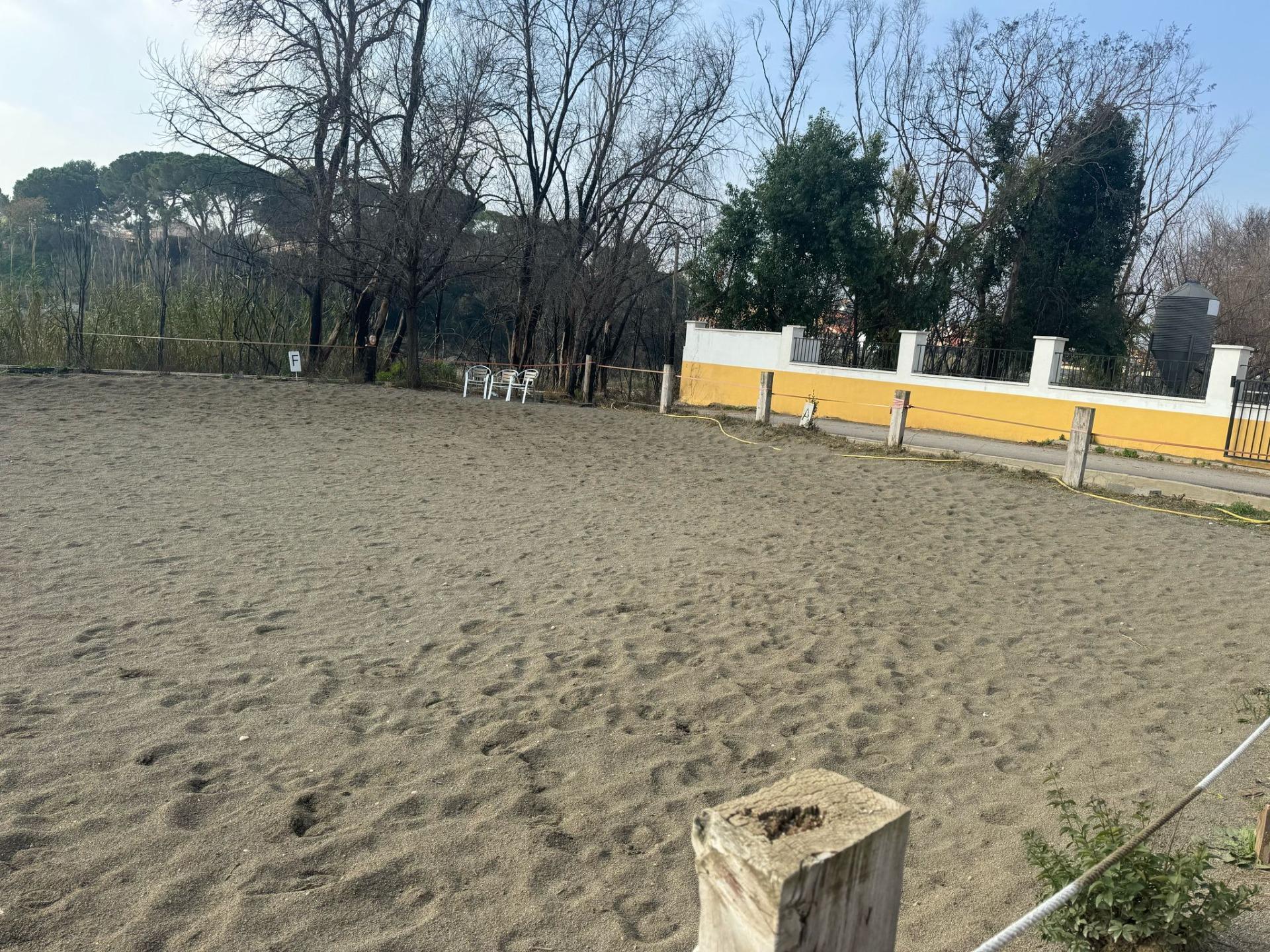 Exclusiva Propiedad en Venta en Ribarroja del Turia