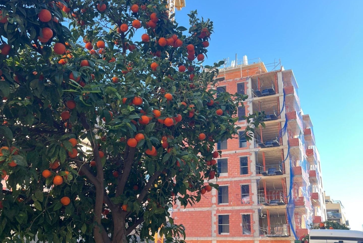 !! EXCELENTE PROYECTO DE OBRA NUEVA AL PARQUE BENICAP