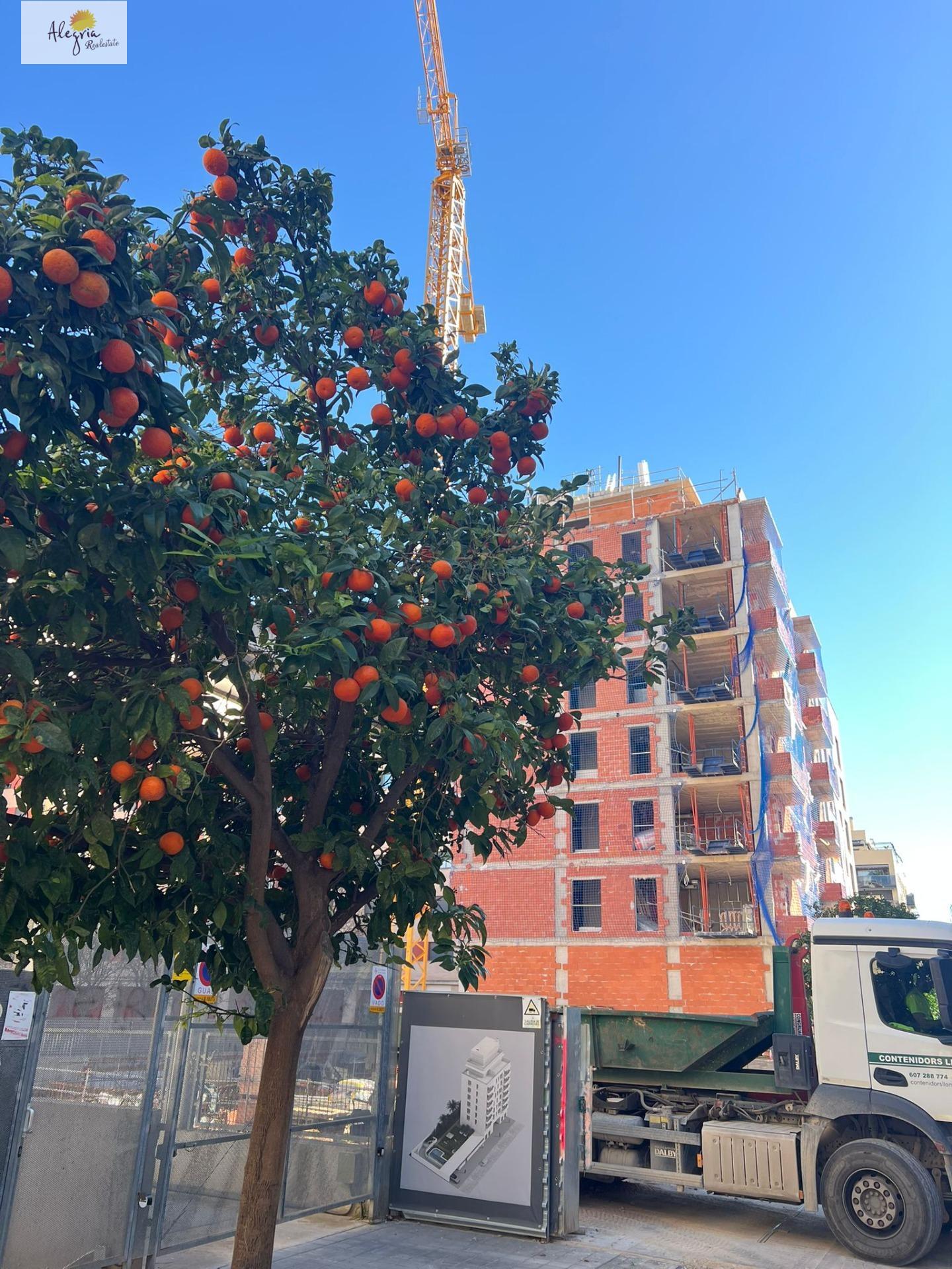 !! EXCELENTE PROYECTO DE OBRA NUEVA AL PARQUE BENICAP