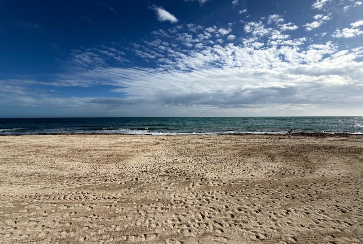 APARTMENT 500 METERS FROM PLAYA DEL CURA WITH A SURFACE OF 44 M2. 1 BEDROOM. 1 BATHROOM.