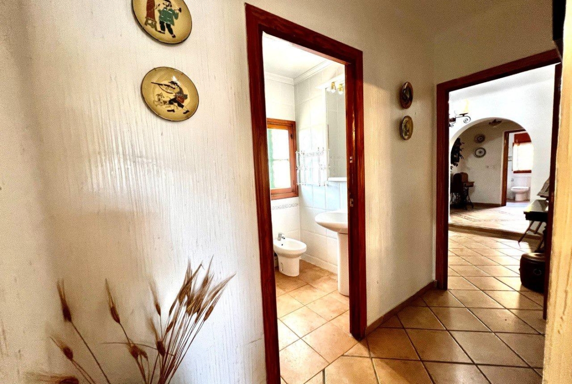 Chalet con 1000 metros de terreno en la zona  Sol y Luz de San Vicente del Raspeig, Alicante