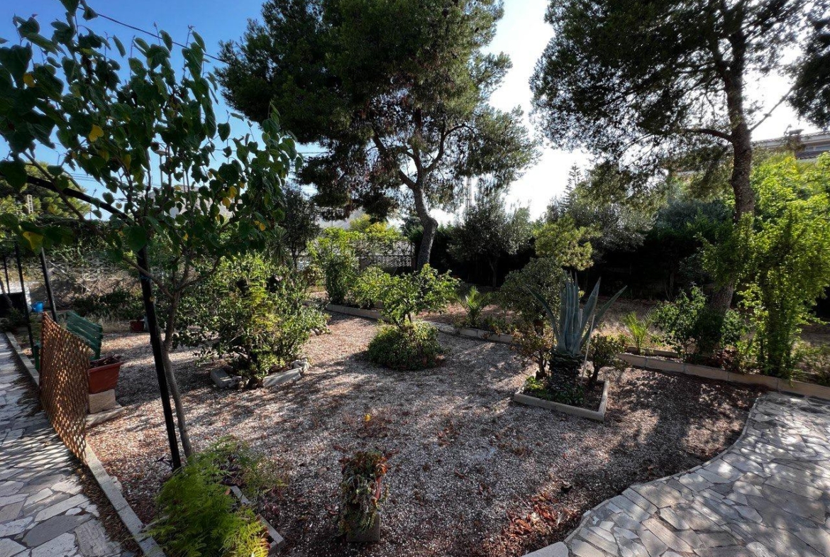 Chalet con 1000 metros de terreno en la zona  Sol y Luz de San Vicente del Raspeig, Alicante