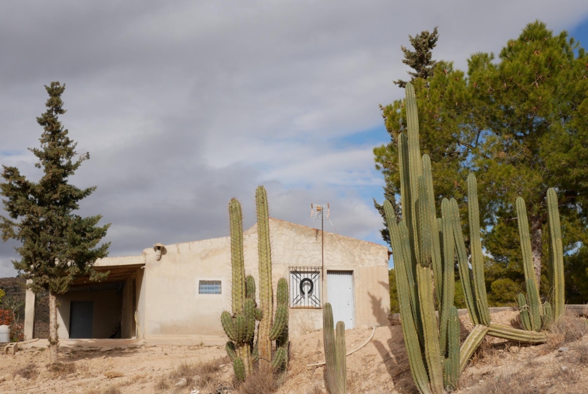CASA CON TERRENO EN ZONA EL SALADO, ABANILLA