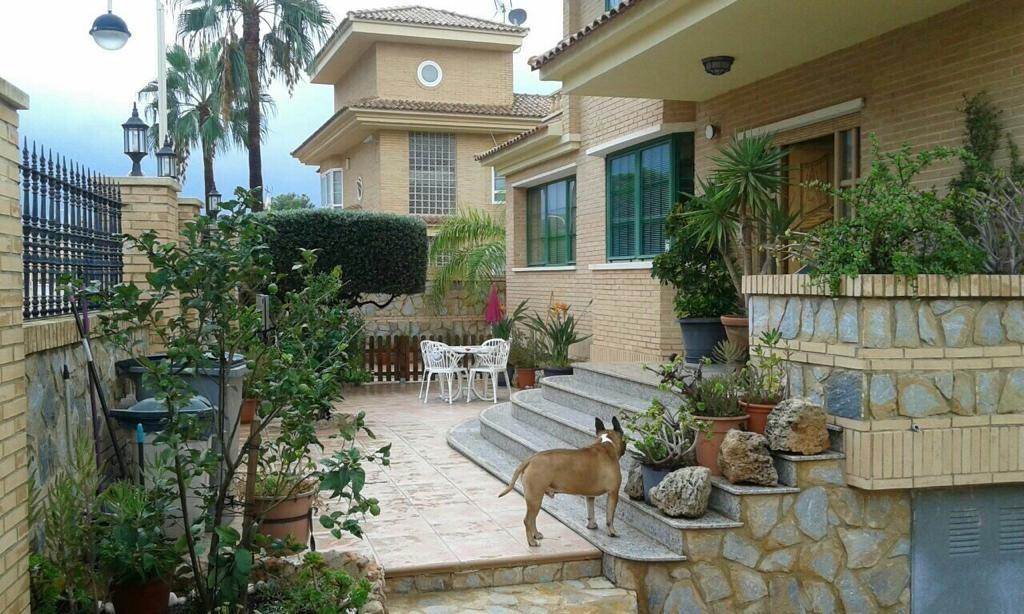Villa with a pool and views of the mountains and Benidorm in the Rincón de Loix area