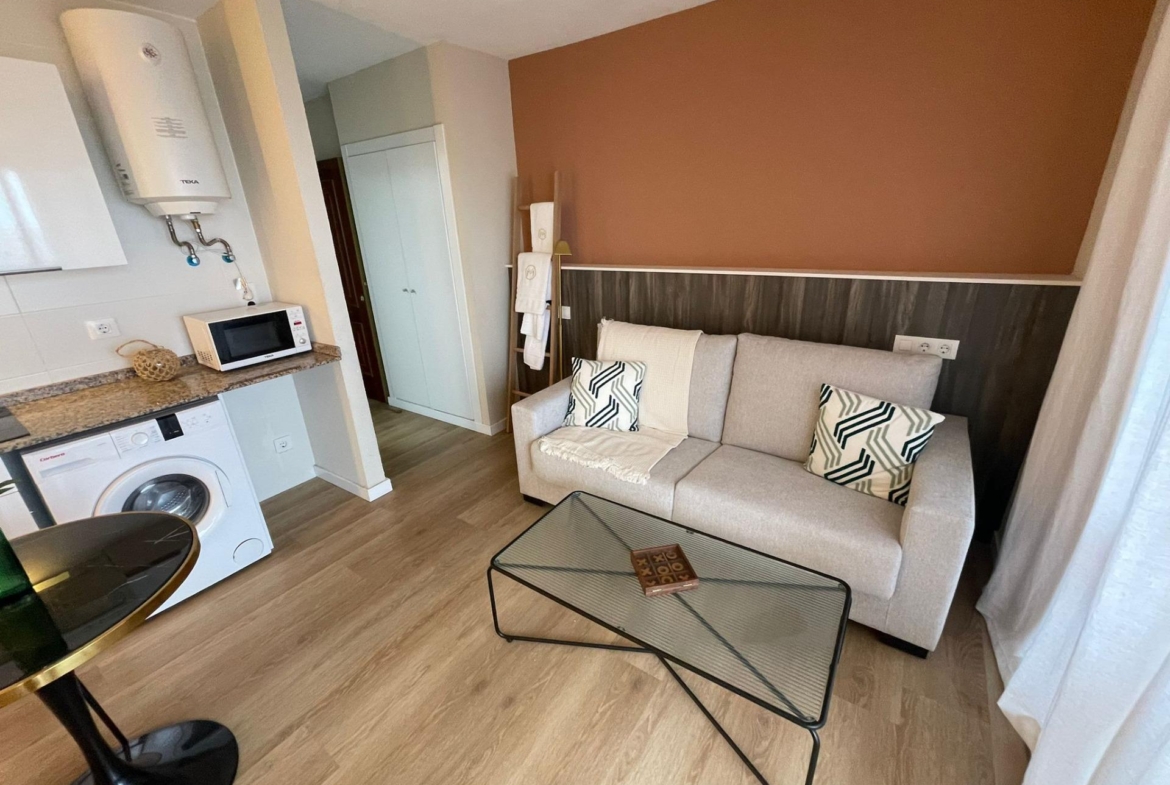 Great Opportunity to Generate Rental Incomes in Benidorm