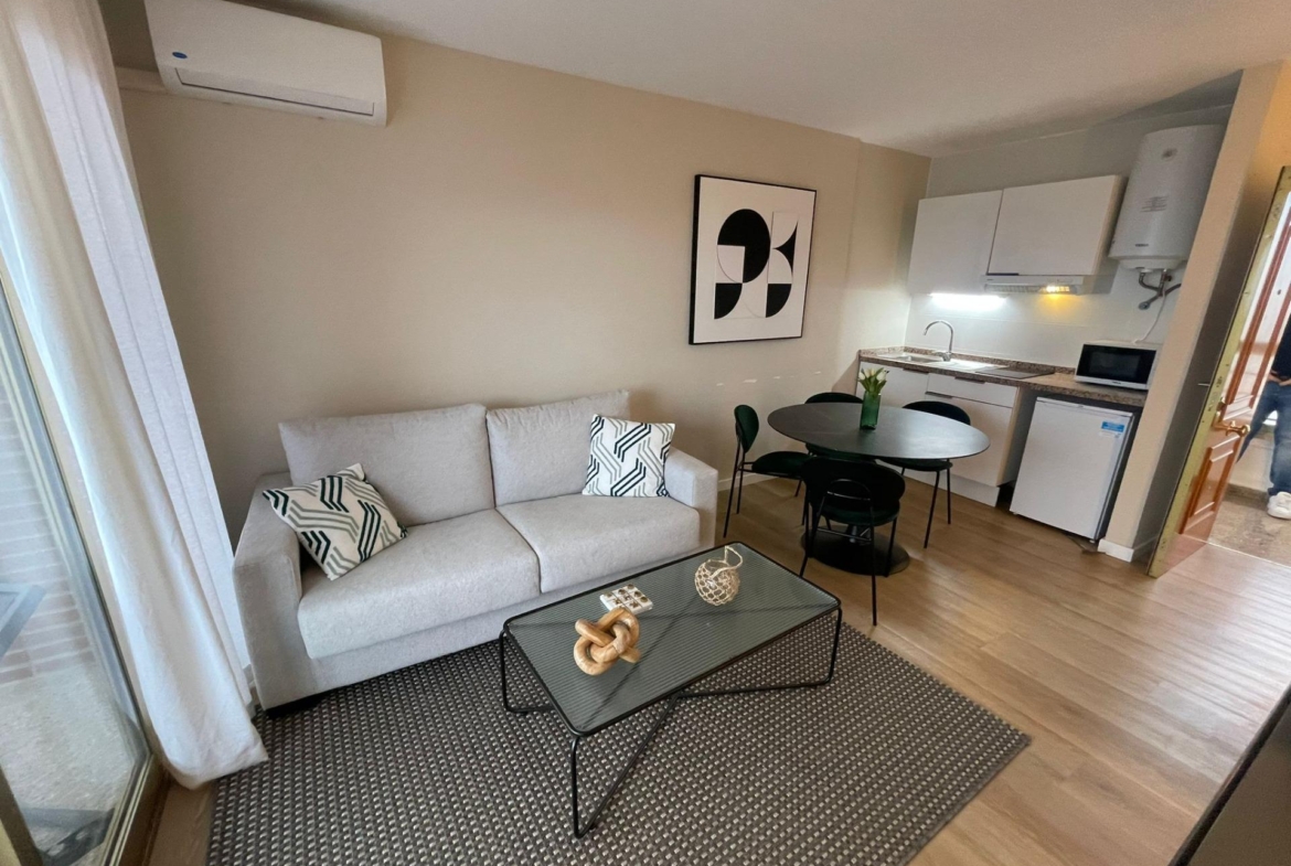 Great Opportunity to Generate Rental Incomes in Benidorm