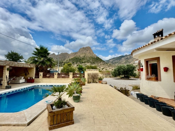 🏡 Cozy Country Home Surrounded by Olive Trees — Relleu, Alicante