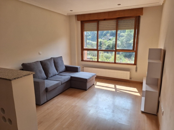 Amplio piso para entrar a vivir en Mieres