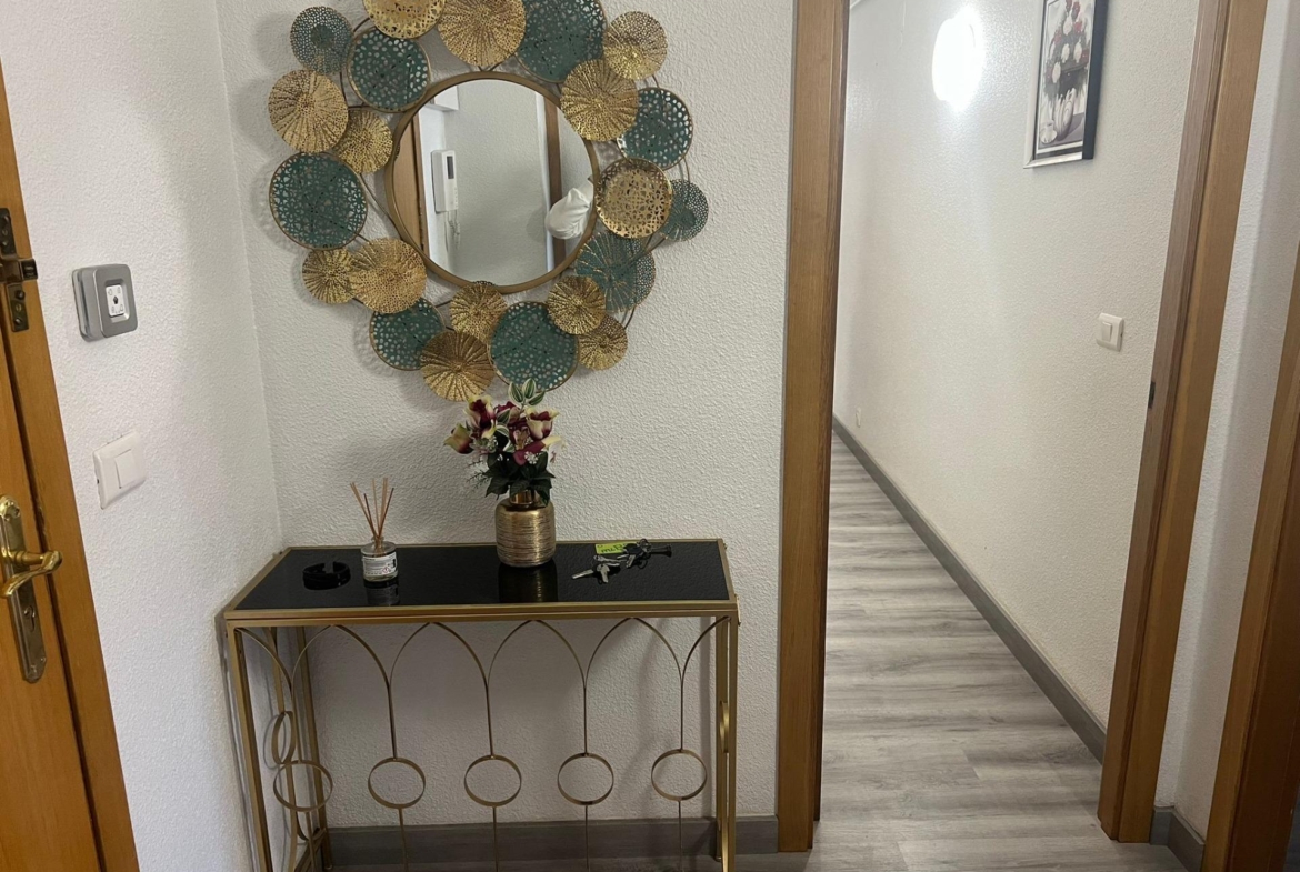 Spacious and Modern Renovated Apartment in San Blas, Alicante