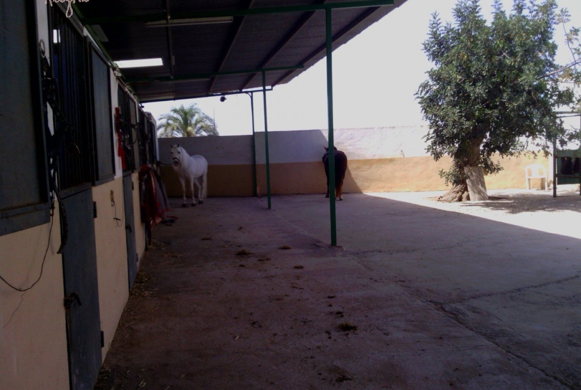 FAMOUS RIDING CENTER WITH INDEPENDENT RURAL HOUSE