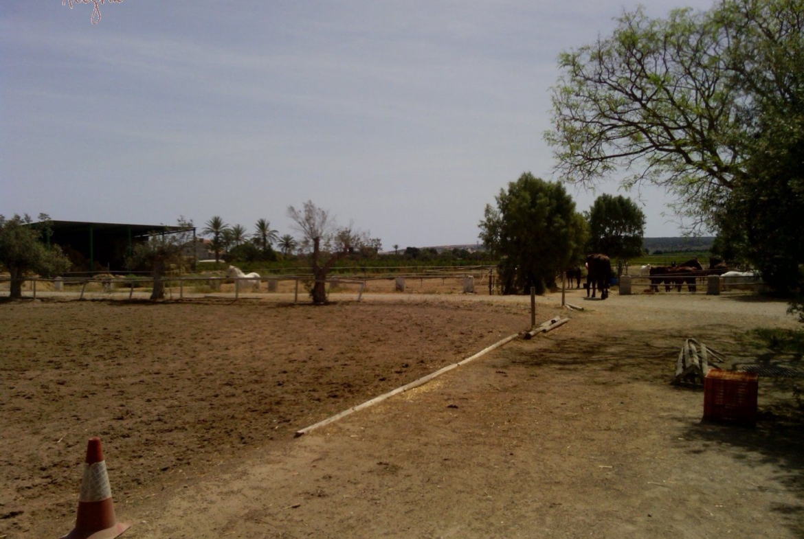 FAMOUS RIDING CENTER WITH INDEPENDENT RURAL HOUSE