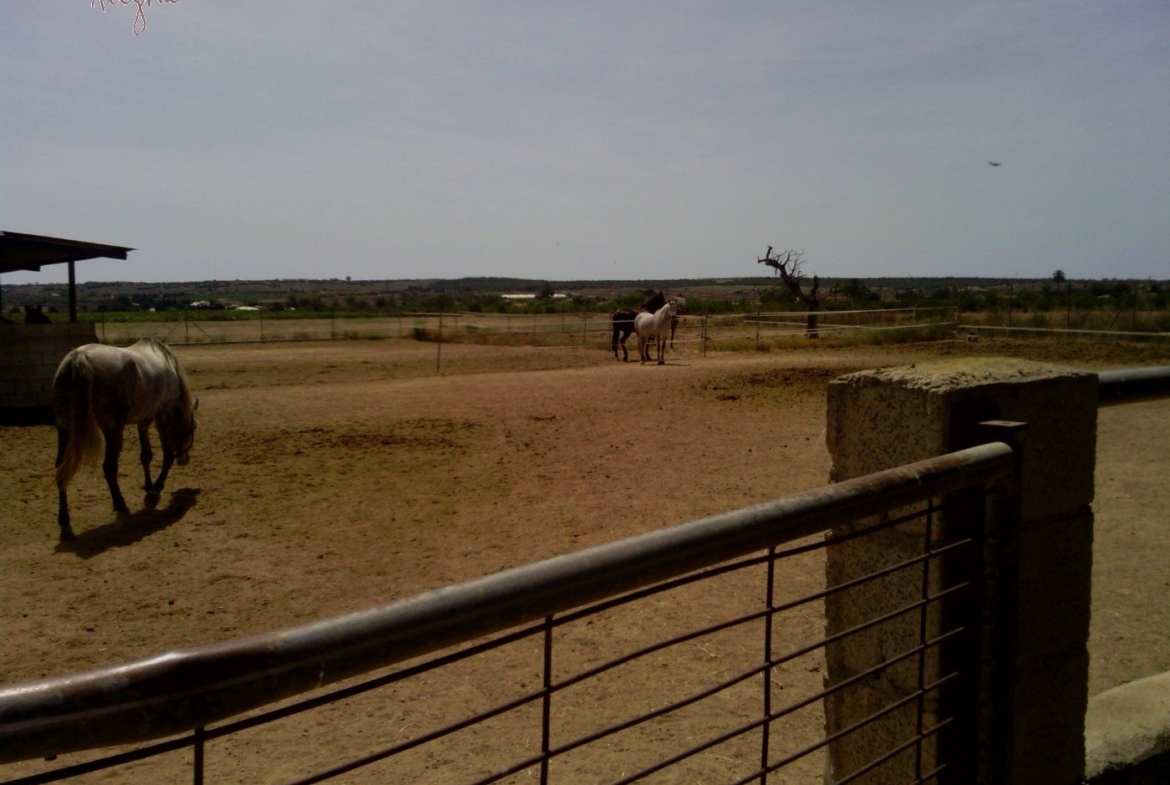 FAMOUS RIDING CENTER WITH INDEPENDENT RURAL HOUSE
