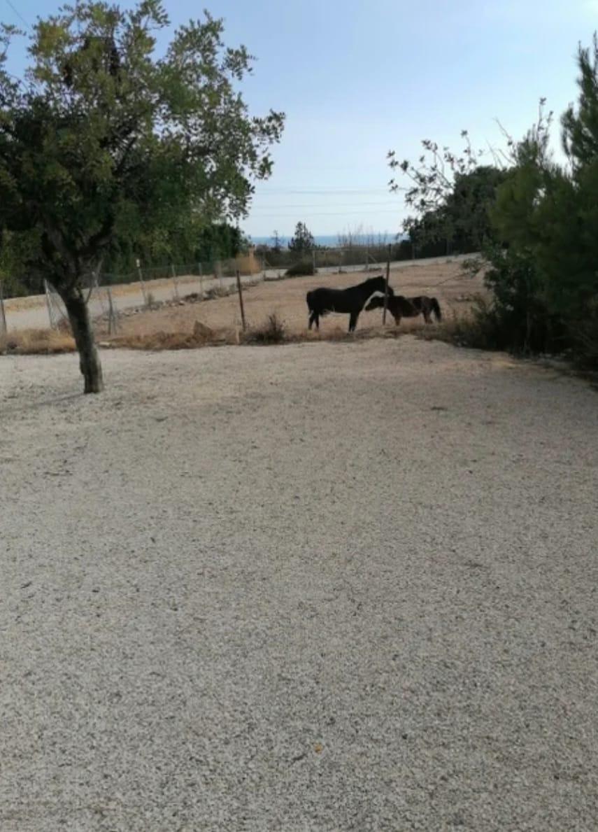 ✨ Nature Retreat in Villajoyosa