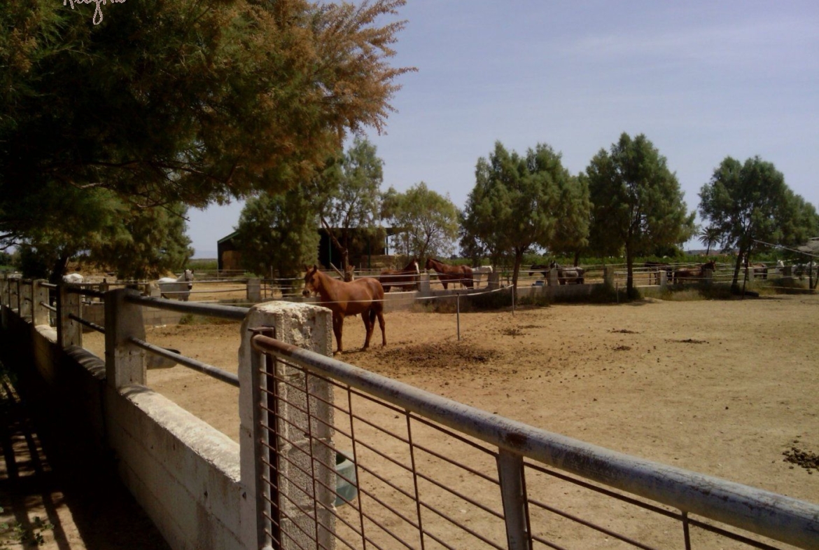 FAMOUS RIDING CENTER WITH INDEPENDENT RURAL HOUSE