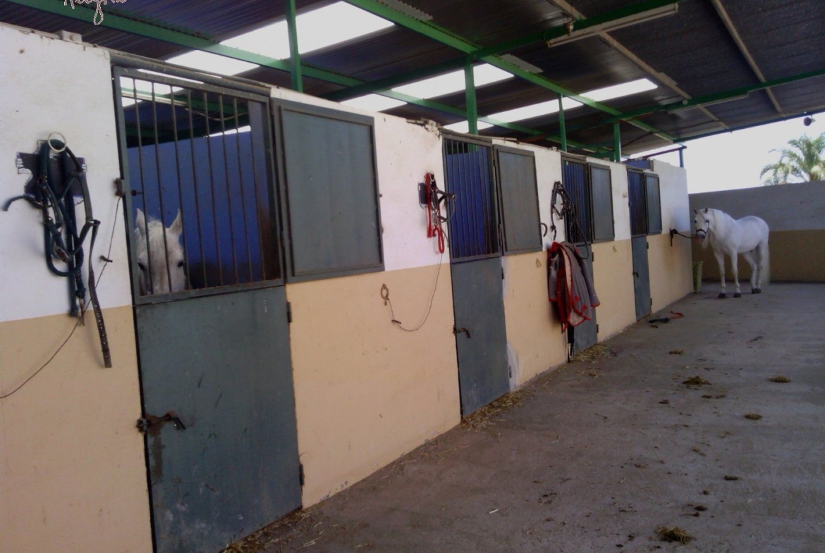 FAMOUS RIDING CENTER WITH INDEPENDENT RURAL HOUSE
