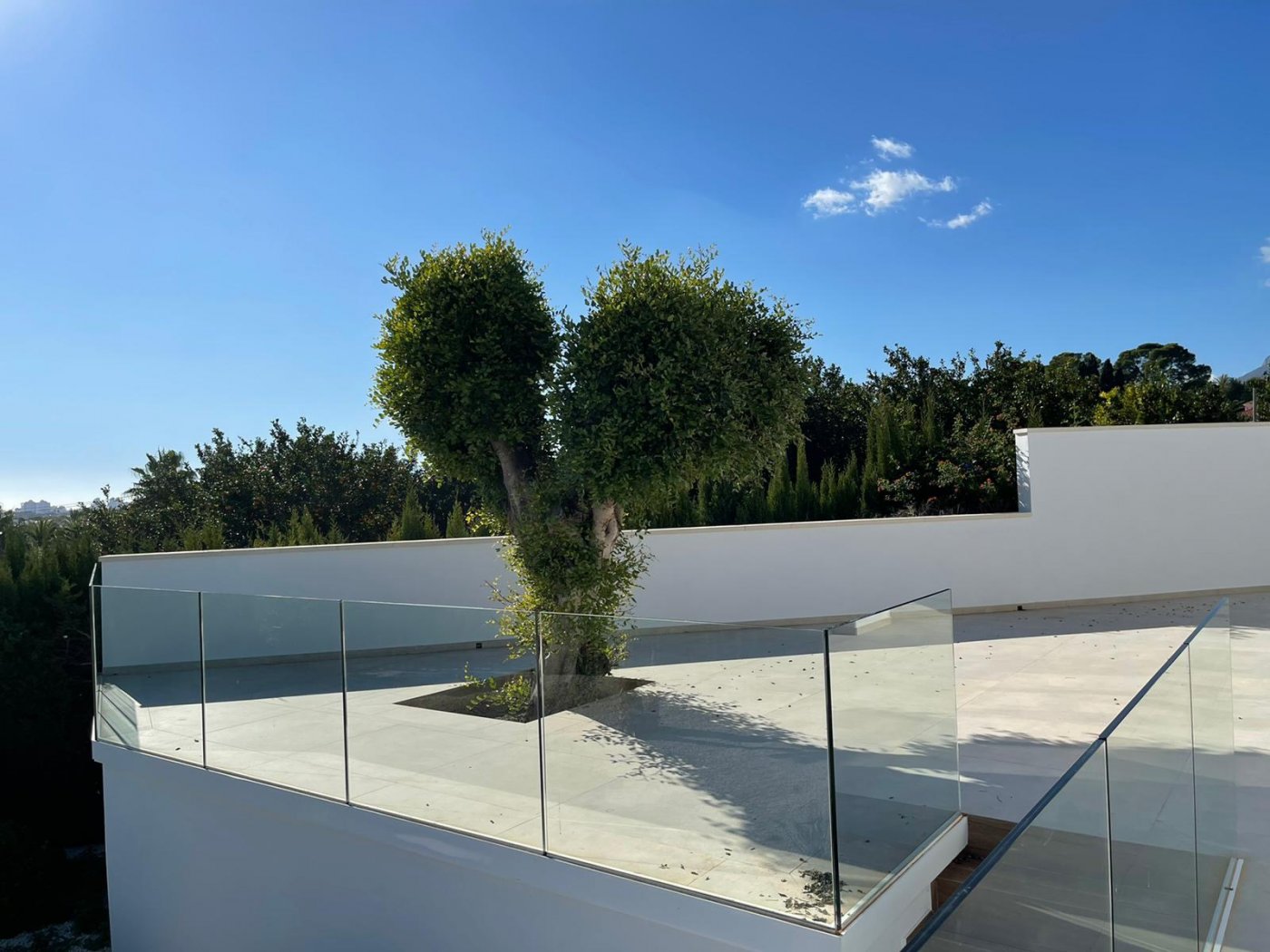 2-17-11 LUXURY VILLA IN ALTEA
