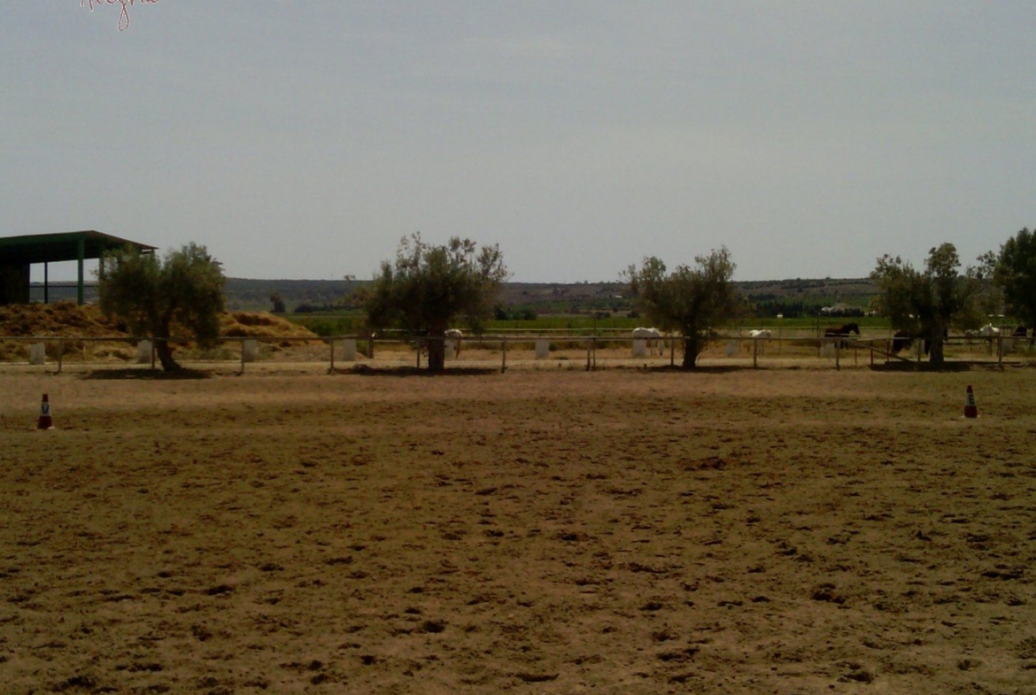 FAMOUS RIDING CENTER WITH INDEPENDENT RURAL HOUSE