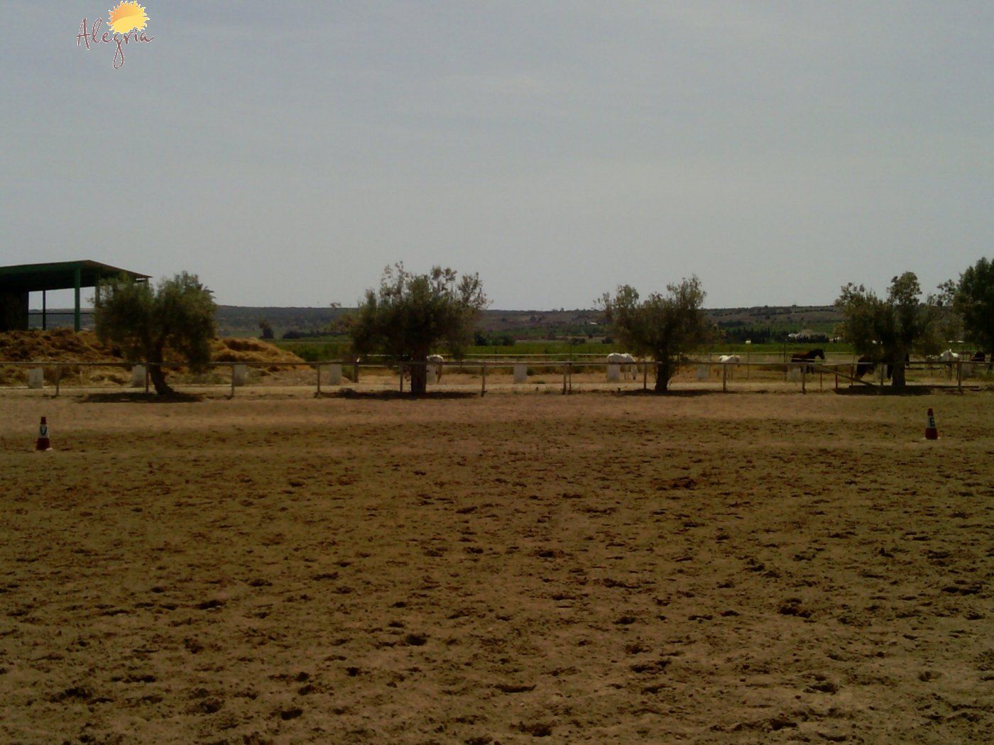 FAMOUS RIDING CENTER WITH INDEPENDENT RURAL HOUSE