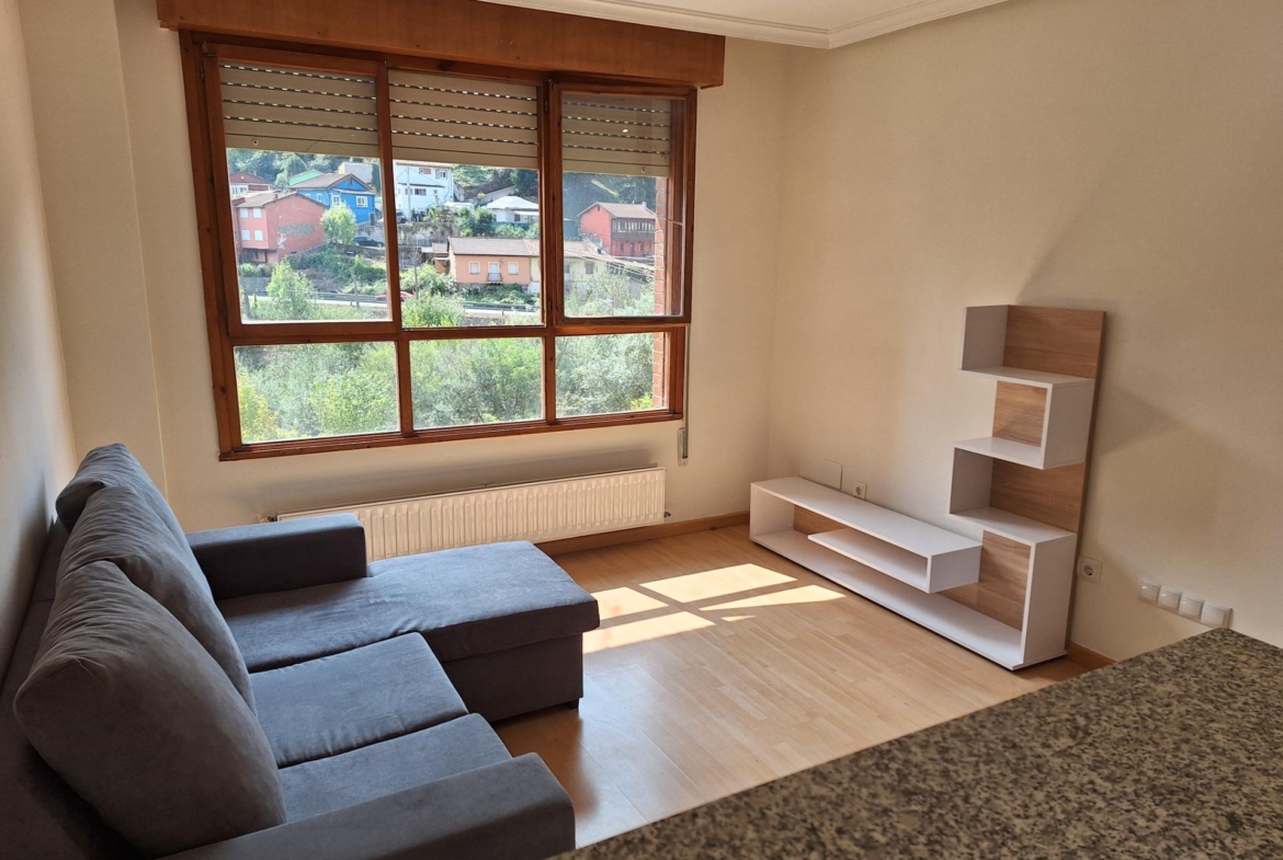 Amplio piso para entrar a vivir en Mieres