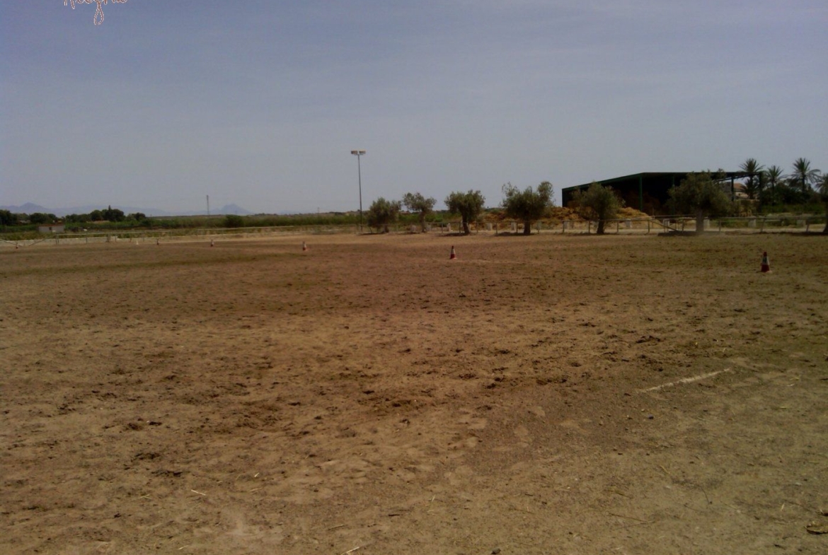 FAMOUS RIDING CENTER WITH INDEPENDENT RURAL HOUSE
