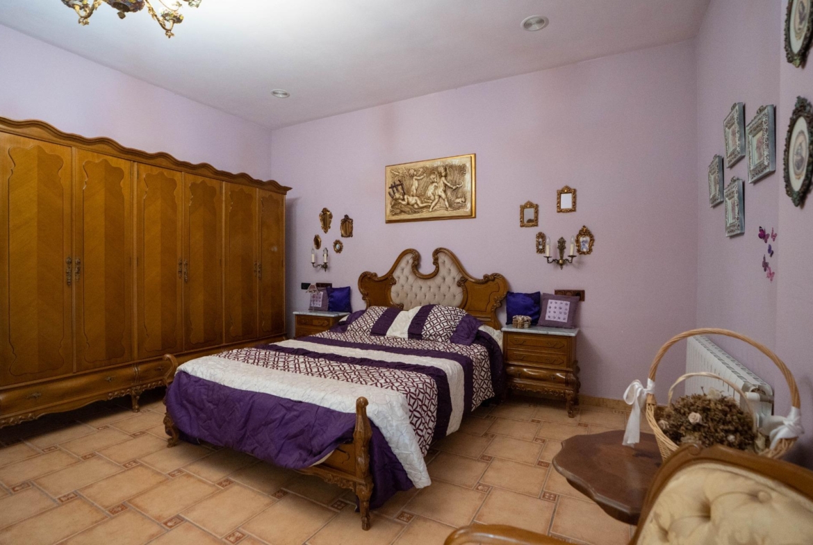 LARGE HOUSE WITH COMMERCIAL PREMISES IN SAN MIGUEL DE SALINAS