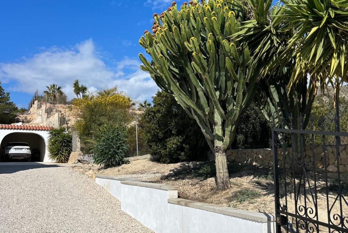 ✨ Nature Retreat in Villajoyosa