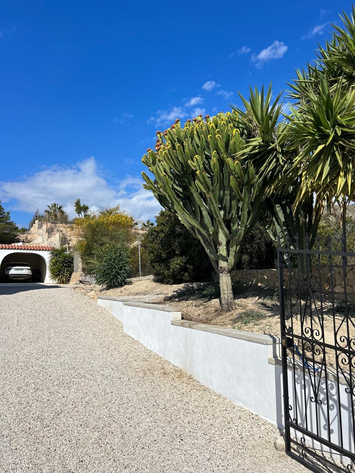 ✨ Nature Retreat in Villajoyosa