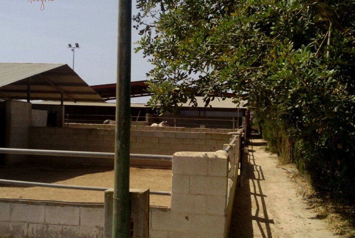 FAMOUS RIDING CENTER WITH INDEPENDENT RURAL HOUSE