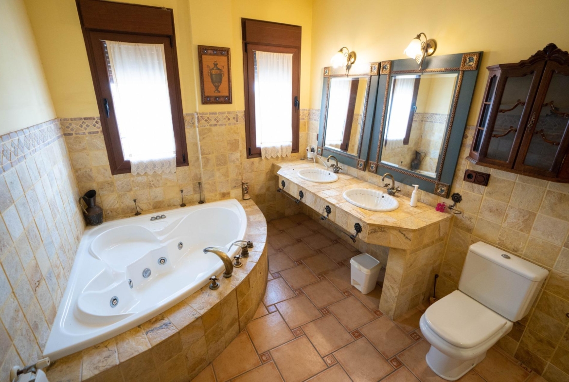 LARGE HOUSE WITH COMMERCIAL PREMISES IN SAN MIGUEL DE SALINAS