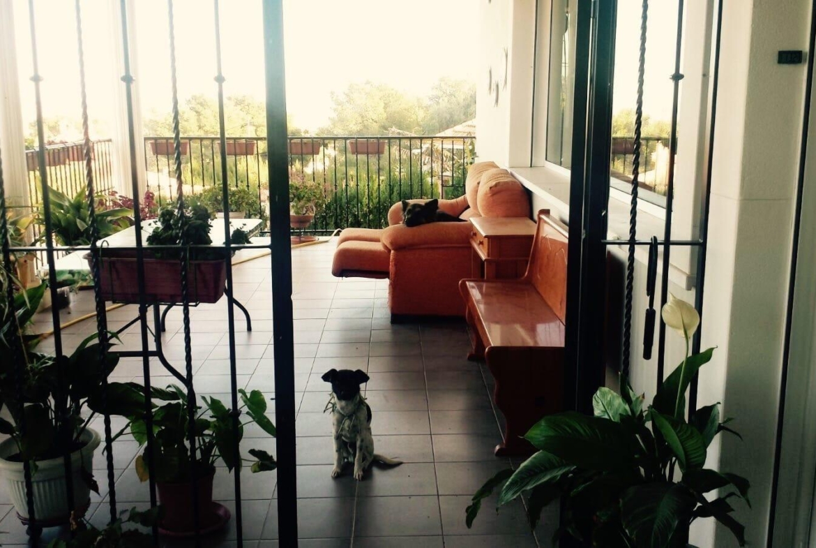Villa de lujo en Picassent — Urbanización El Pinar 3