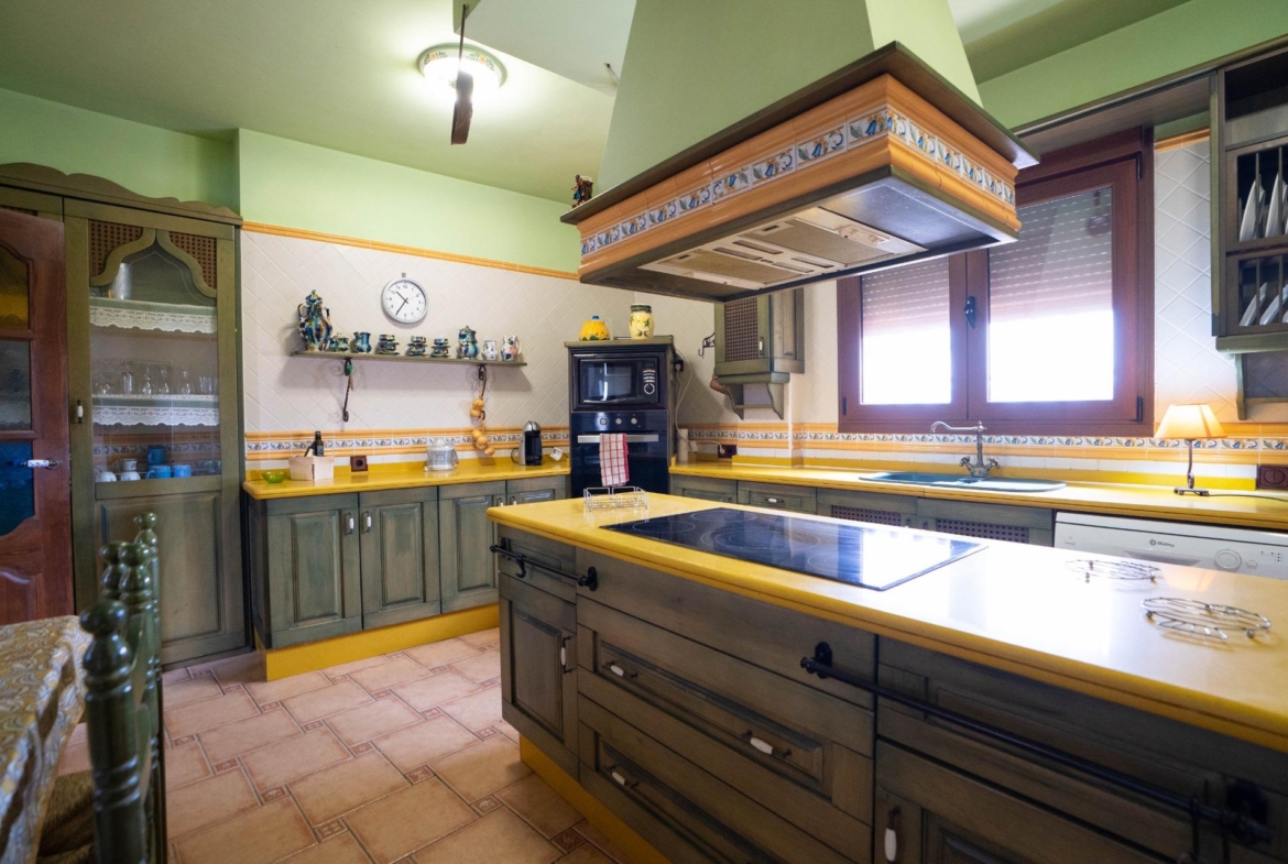 LARGE HOUSE WITH COMMERCIAL PREMISES IN SAN MIGUEL DE SALINAS