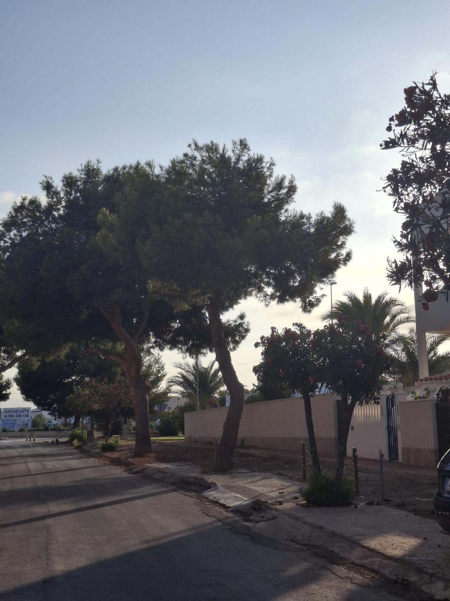 2-31-41 Spectacular Penthouse in La Zenia, Orihuela Costa – Sea Views and Steps from the Beach
