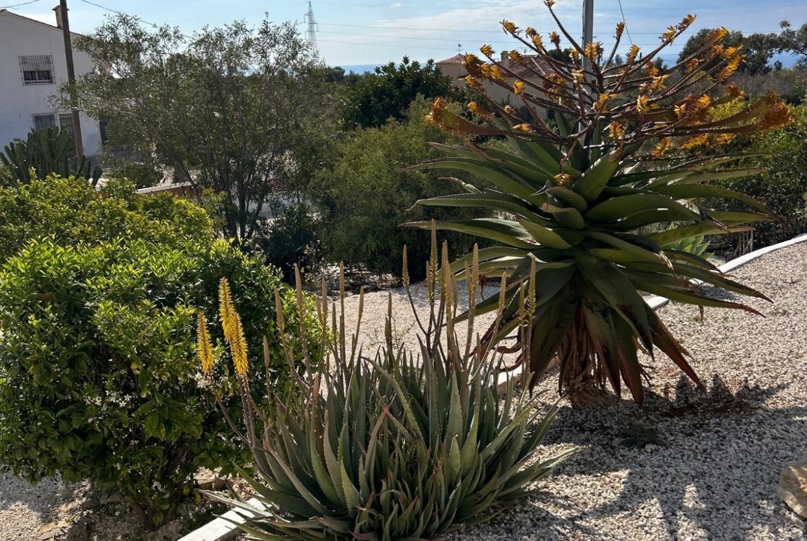 ✨ Nature Retreat in Villajoyosa