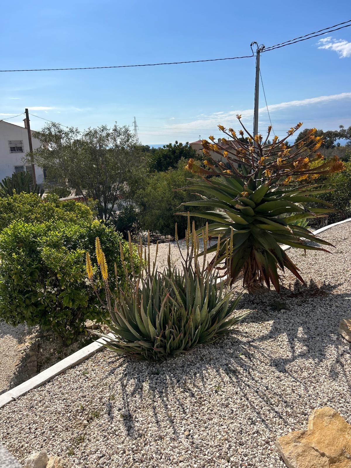 ✨ Nature Retreat in Villajoyosa