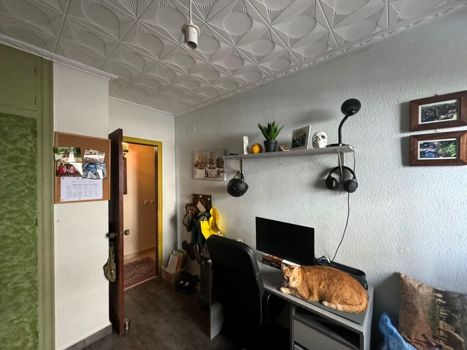 2-37-22 Appartement in San Miguel de Salinas met vrij uitzicht in het centrum