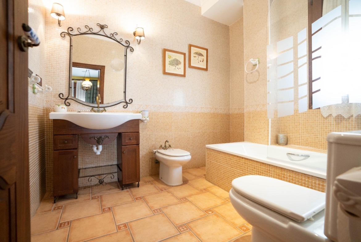 LARGE HOUSE WITH COMMERCIAL PREMISES IN SAN MIGUEL DE SALINAS